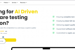 Frugal Testing Website Development